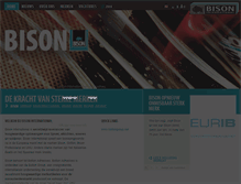 Tablet Screenshot of bisoninternational.com